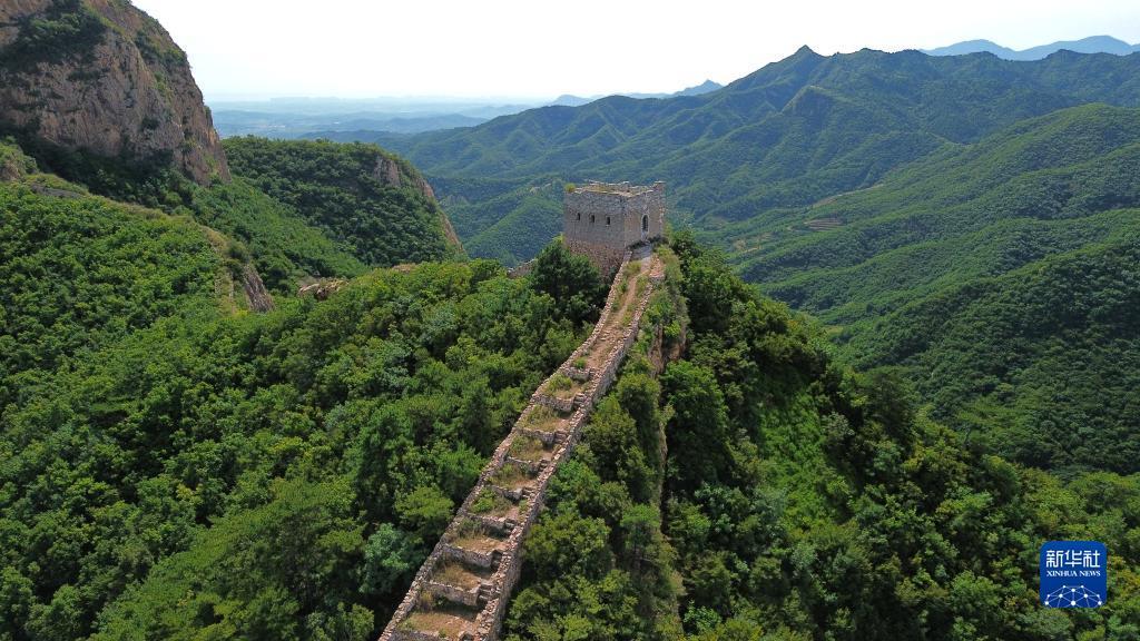 打鱼提现的